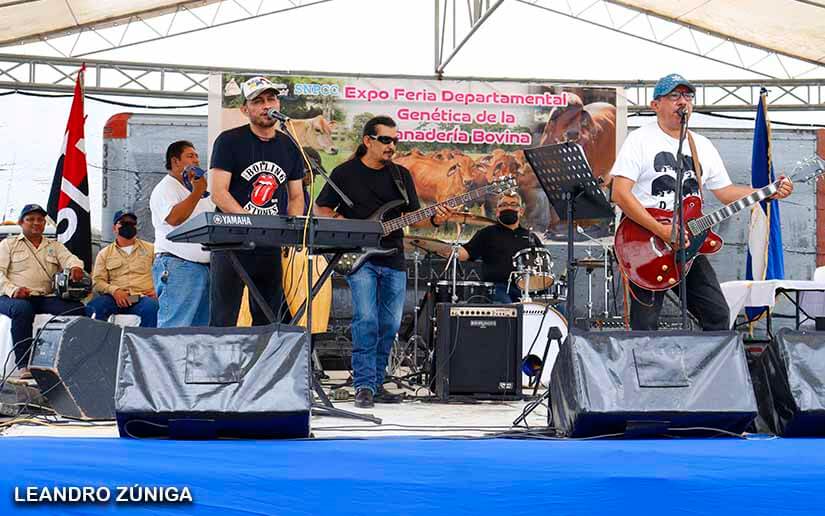 feria-bovina